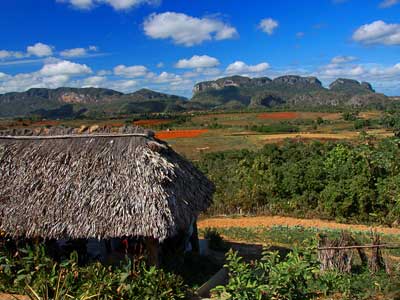 Paysage cubain Vinales